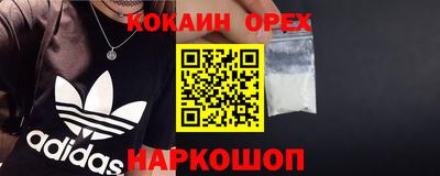 СК Кингисепп