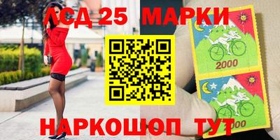 СК Кингисепп
