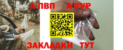 СК Кингисепп
