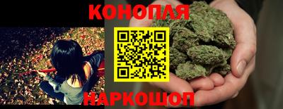эйфоретик Кимры