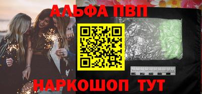 СК Кингисепп