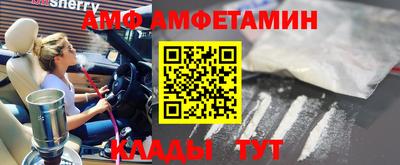СК Кингисепп
