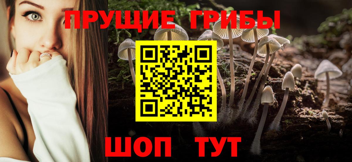 Галлюциногенные грибы Magic Shrooms  Галлюциногенные грибы Magic Shrooms  Краснознаменск  Вход с VPN 